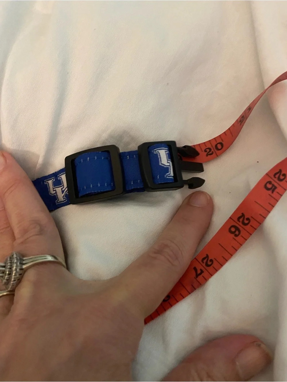 Blue University of Kentucky Logo Dog Collar with Quick-Release Buckle